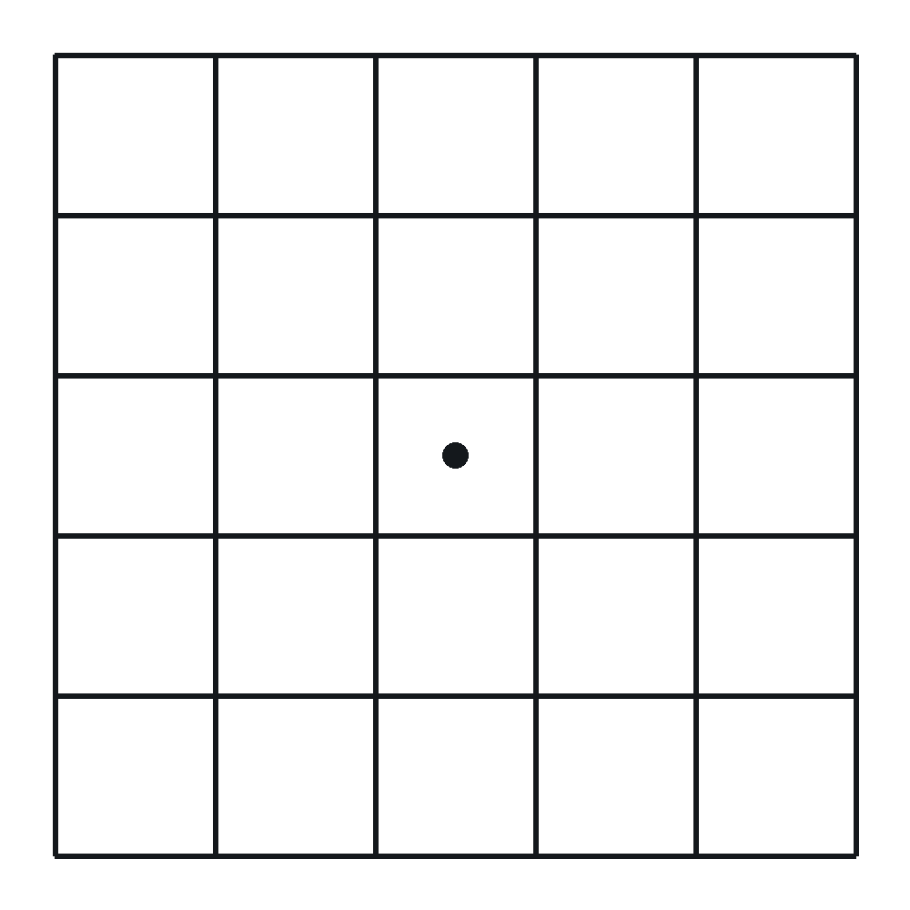 Normal Amsler grid: straight lines with a black dot in the center